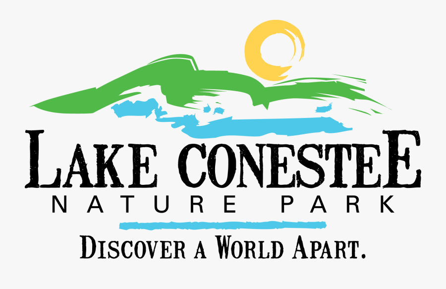 Graphic Design, Transparent Clipart