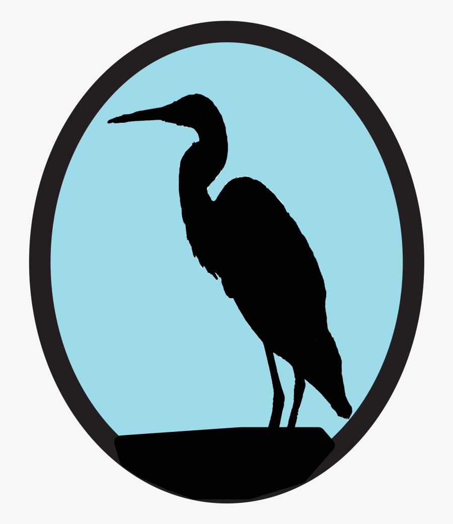 Great Blue Heron, Transparent Clipart