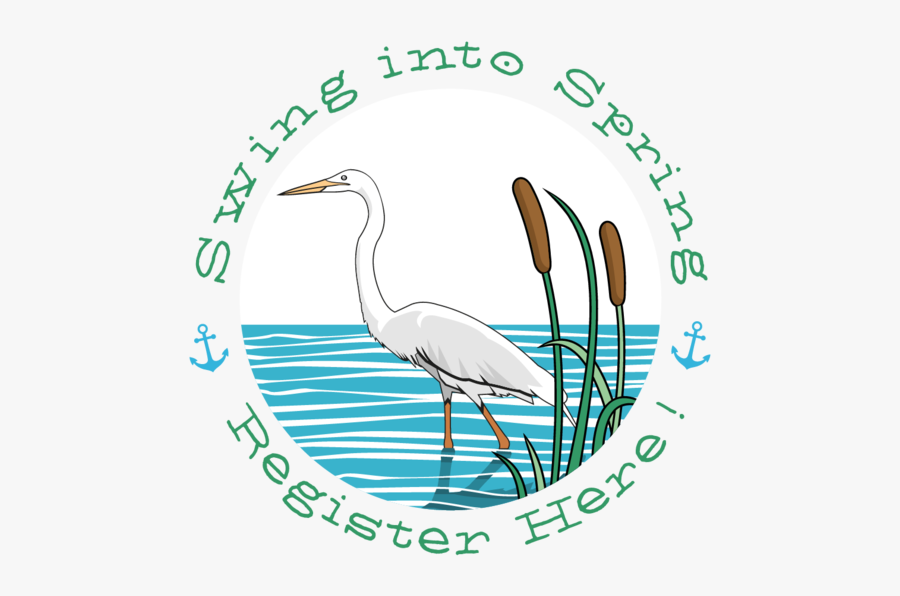 Seabird, Transparent Clipart