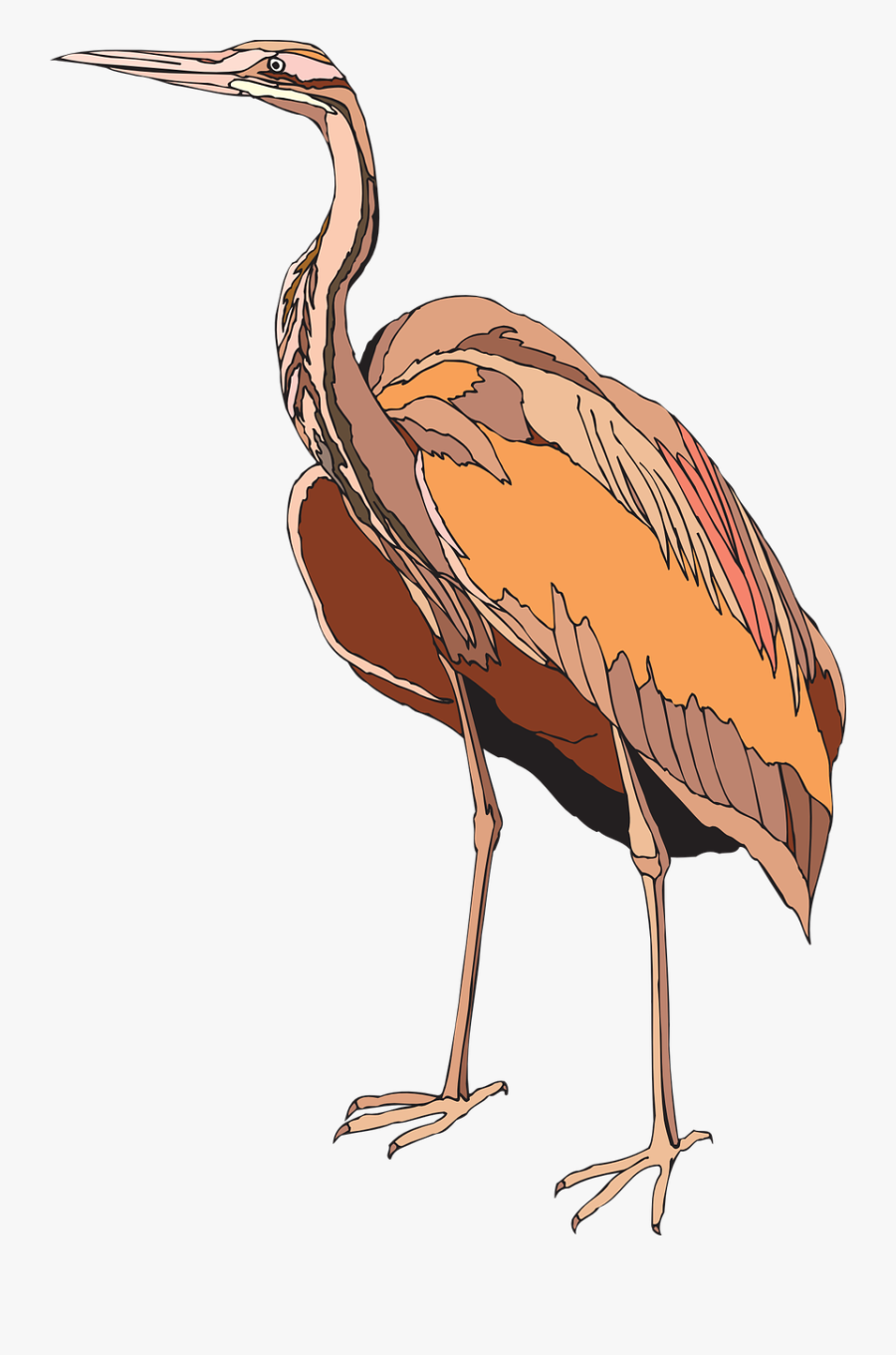 Heron Purple Bird Free Picture - Czapla Ptak Png, Transparent Clipart