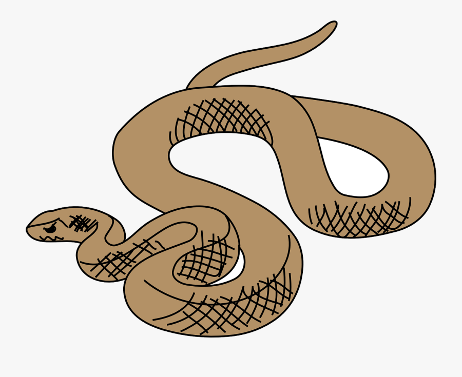 Brown Tree Snake Clip Art - Cartoon Brown Tree Snake, Transparent Clipart