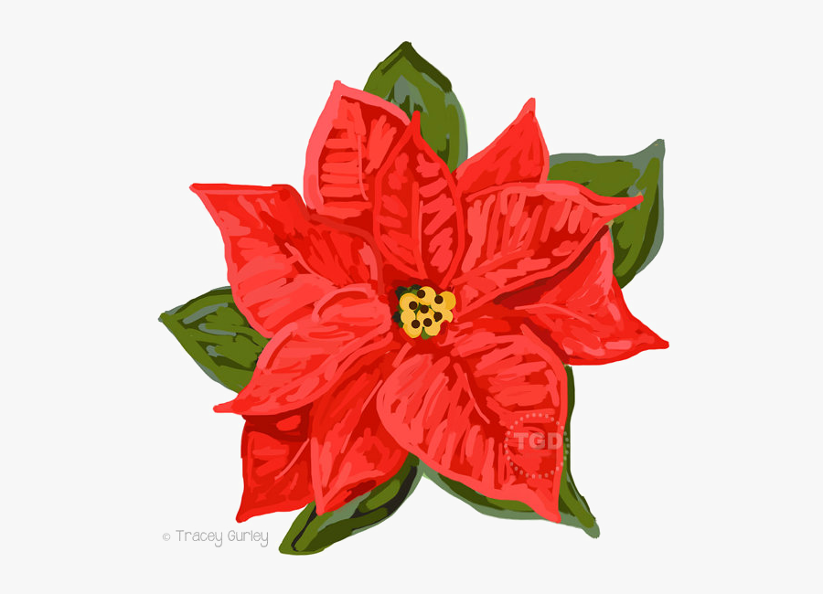 Poinsettia Png Download Image - Poinsettia, Transparent Clipart