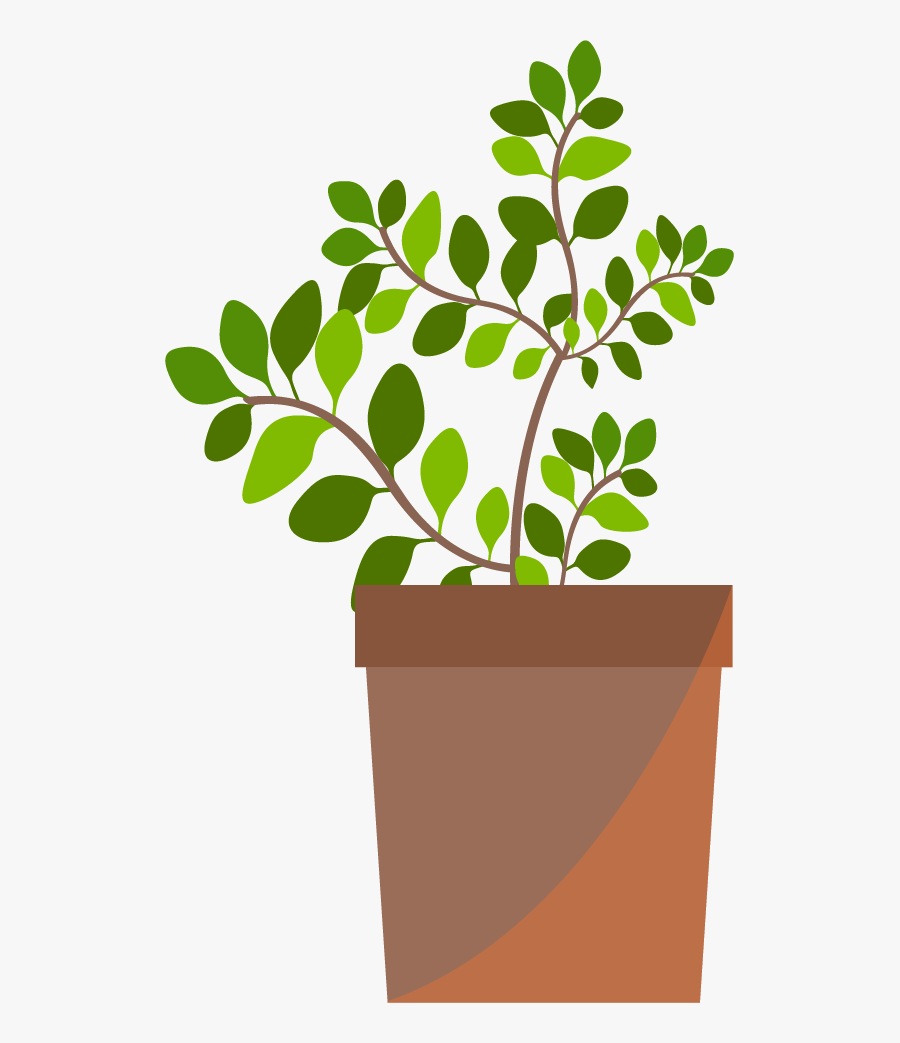 Adobe Illustrator Plants, Transparent Clipart
