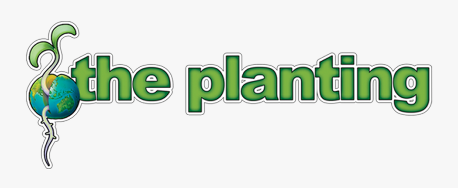 Graphic Design, Transparent Clipart