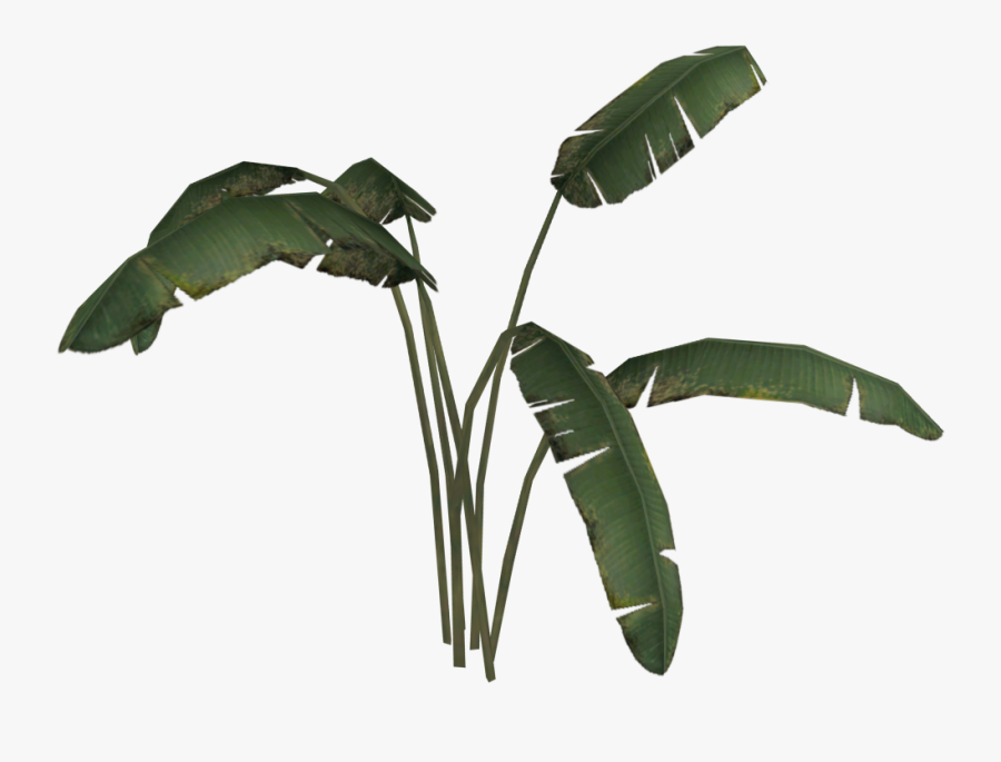 Banana Tree Png - Banana Tree Png Transparent, Transparent Clipart