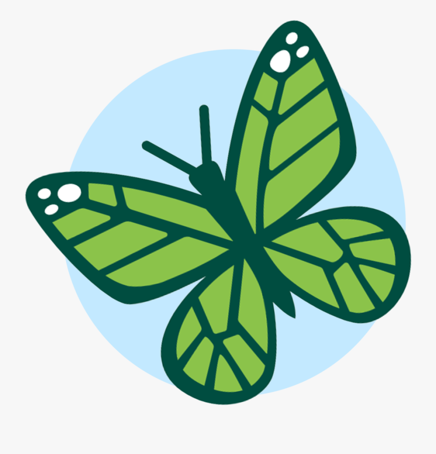 Butterfly Blue Circle - Sarina Sōda, Transparent Clipart