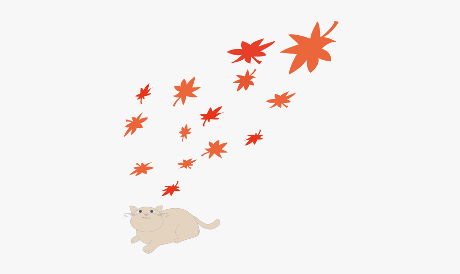 Rodent, Transparent Clipart
