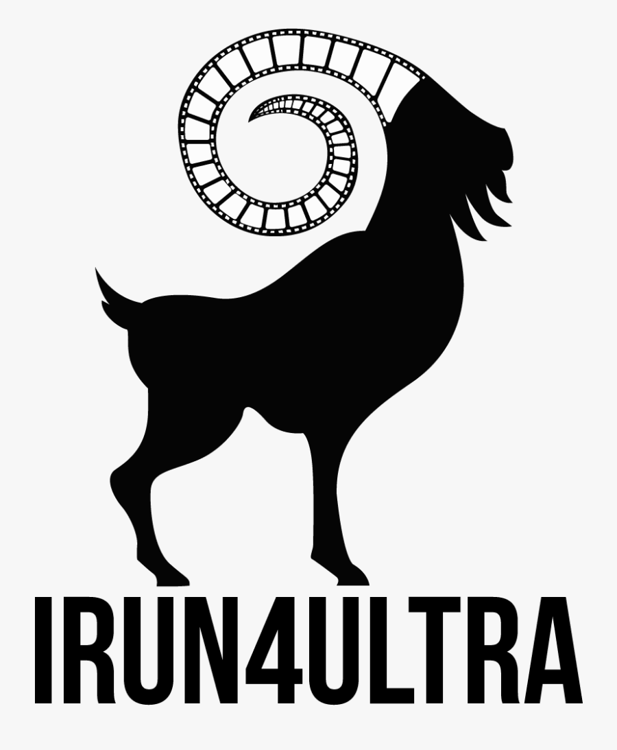 Photography, Transparent Clipart