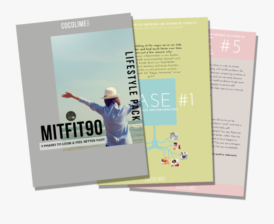 Lifestylefannedpages - Flyer, Transparent Clipart