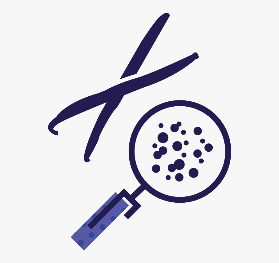 Circle, Transparent Clipart