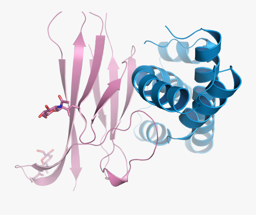 Illustration, Transparent Clipart