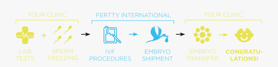 Distance Egg Donation - Graphic Design, Transparent Clipart
