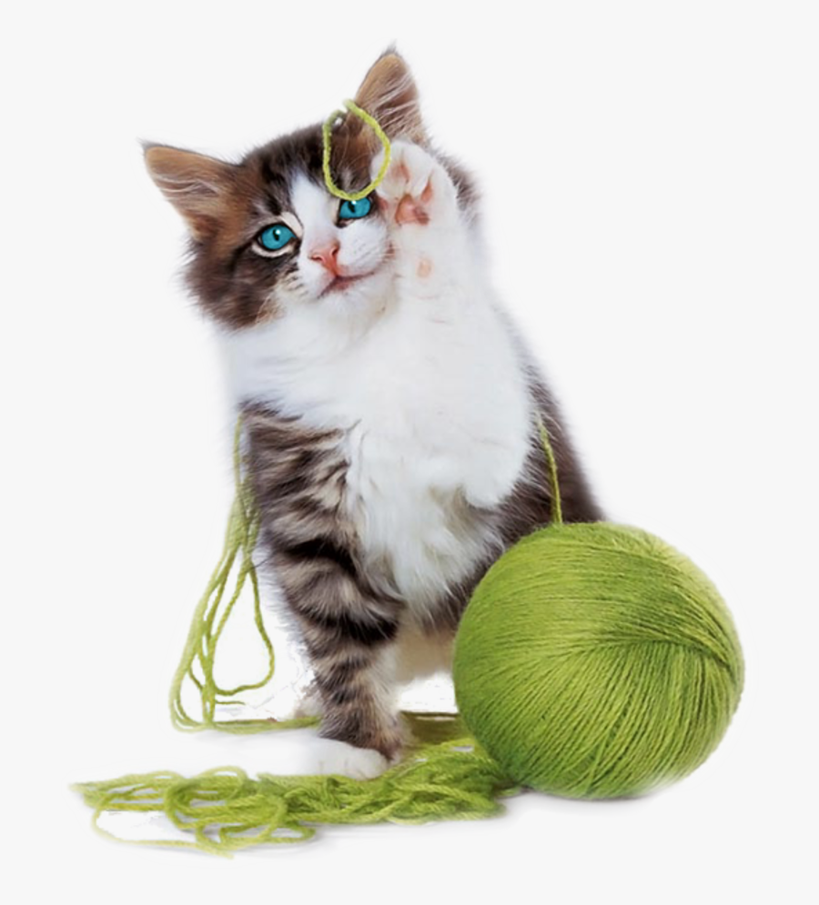 Cat Playing Clipart, Transparent Clipart