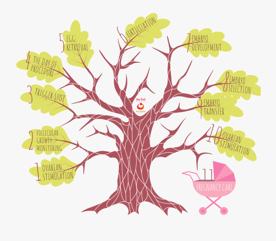 Illustration, Transparent Clipart