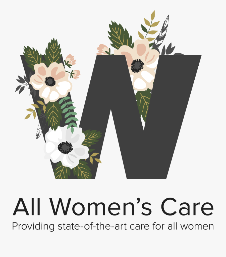 African Daisy, Transparent Clipart