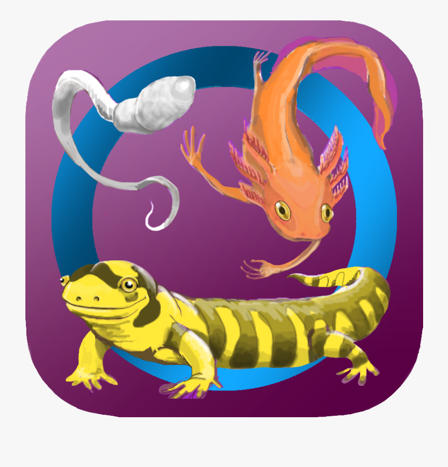 App Development - Lineage, Transparent Clipart