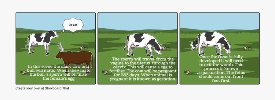 Dairy Cow, Transparent Clipart