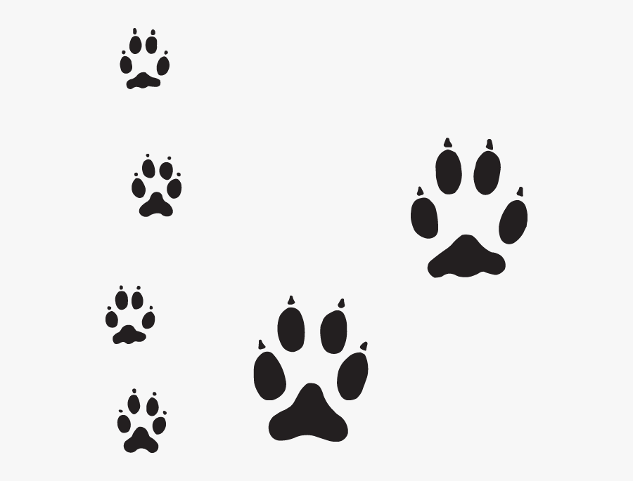 Clip Art Cat Tracks In Snow - Dog Paw Tracks, Transparent Clipart