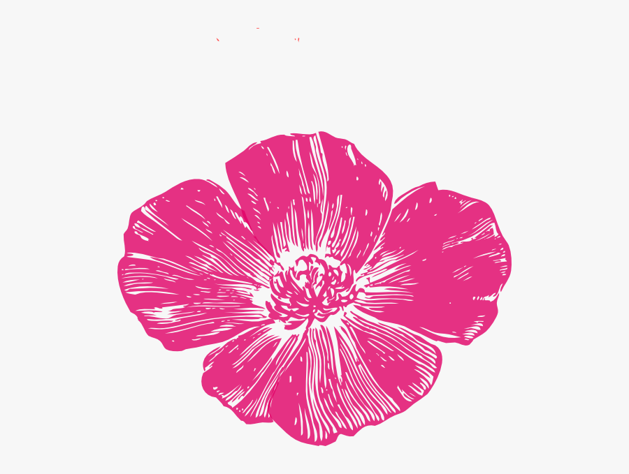 Hot Pink Flowers Png, Transparent Clipart