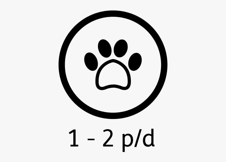 Circle, Transparent Clipart