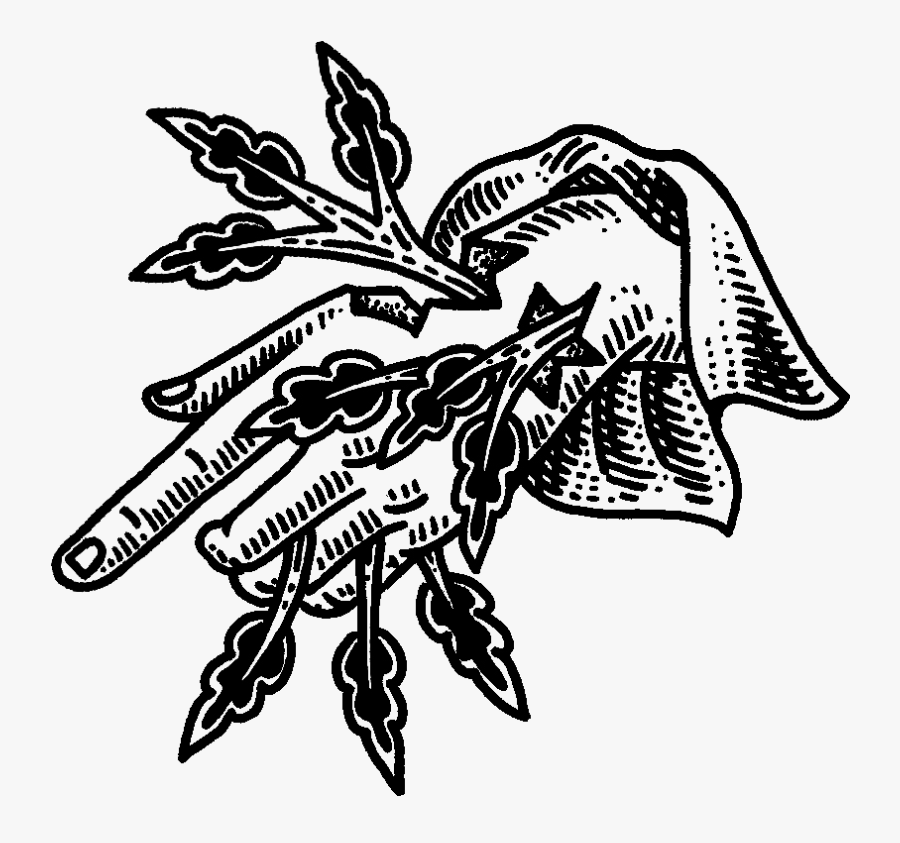 Illustration, Transparent Clipart