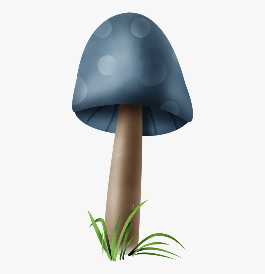 Agaricaceae, Transparent Clipart