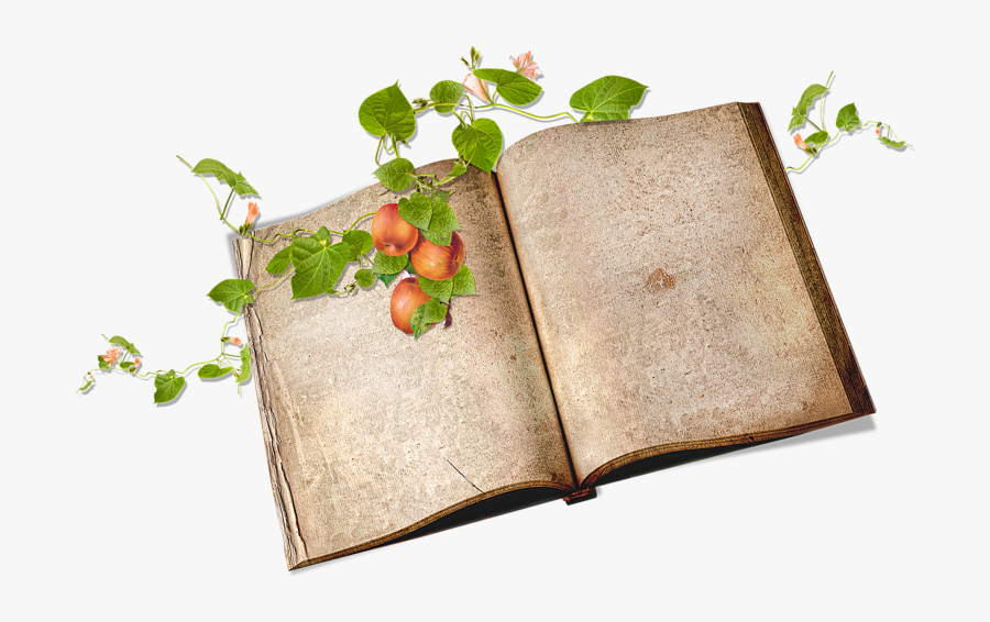 Strawberry, Transparent Clipart