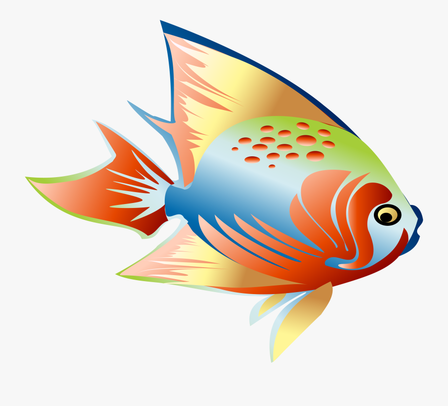 Fish Clip Art Colorful Fishes Cartoon , Free Transparent