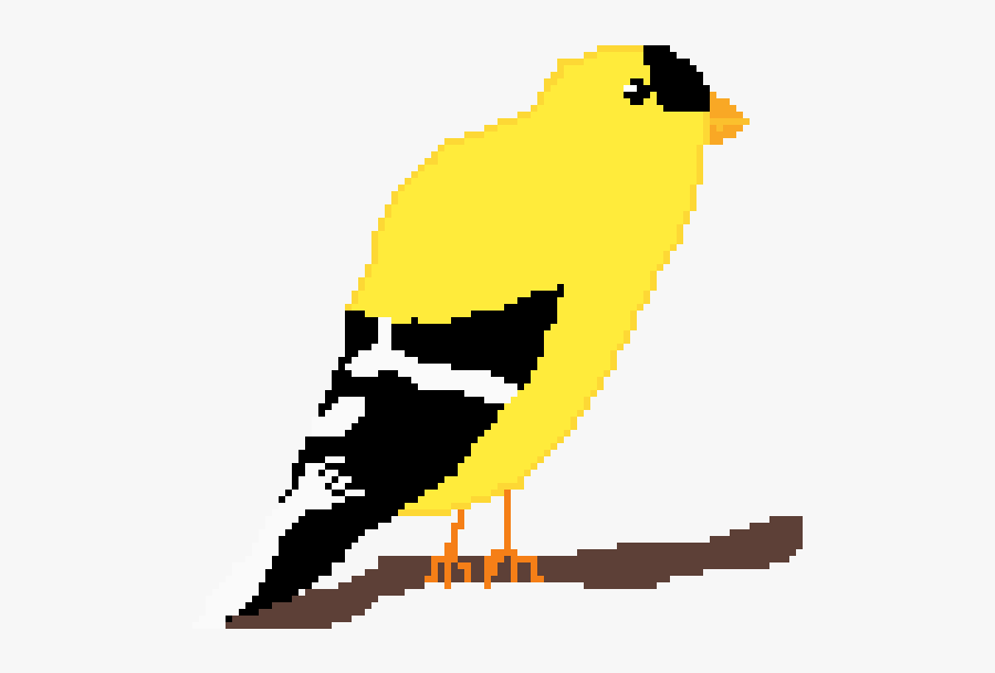 American Goldfinch, Transparent Clipart