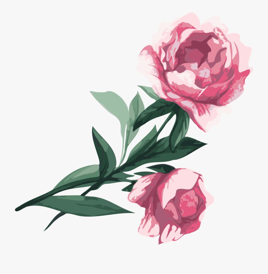 Flower Garden Roses Clip - Пионы Png На Прозрачном Фоне, Transparent Clipart