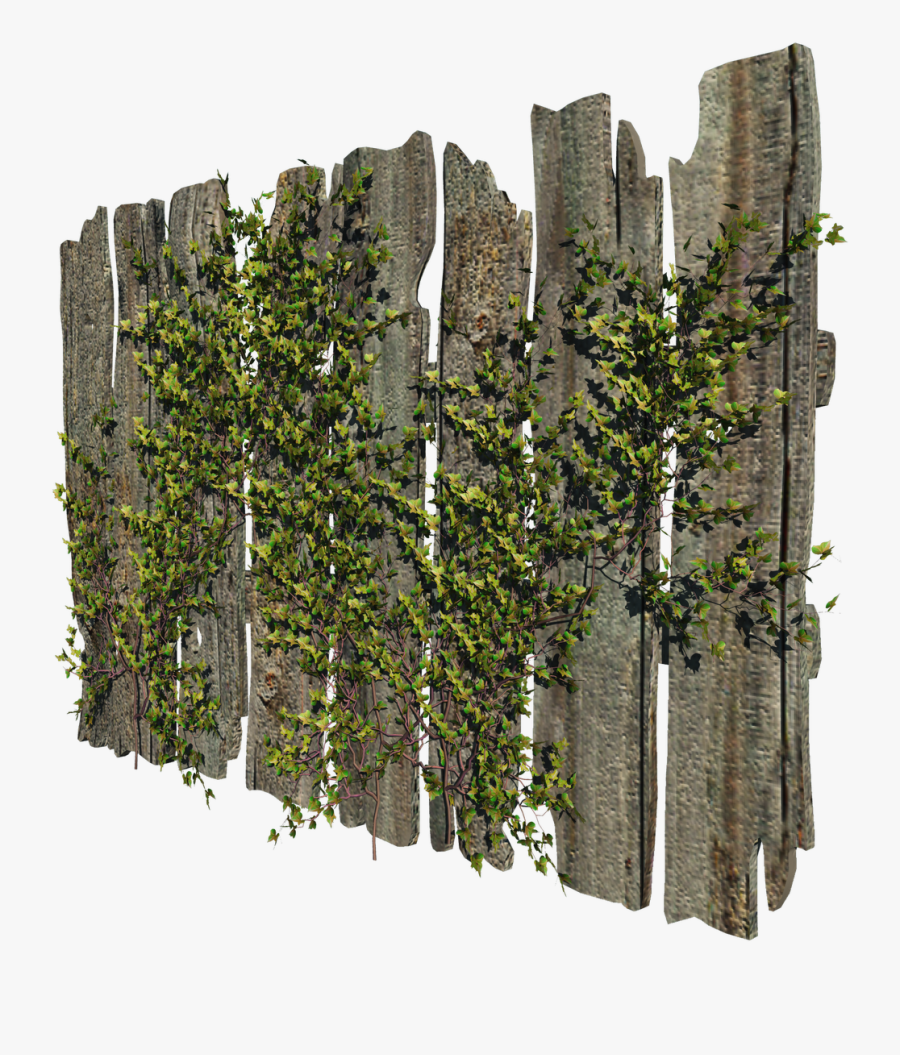 Free High Resolution Graphics And Clip Art - Tree, Transparent Clipart