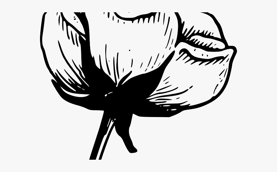 Et Cliparts - Do Tulips Reproduce Sexually, Transparent Clipart