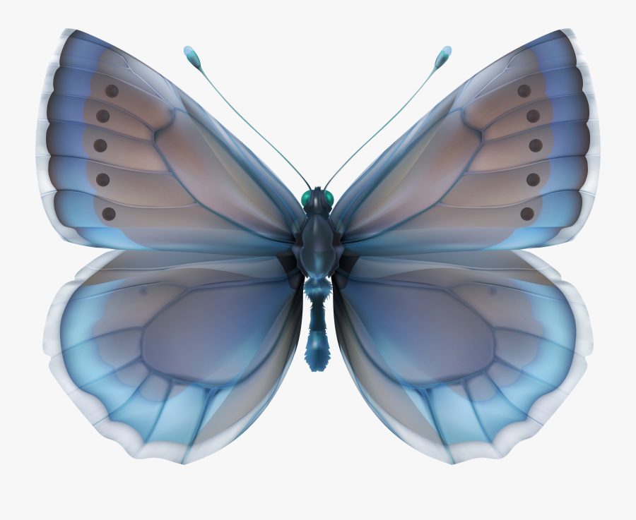 Decoupage Butterflies In Blue, Transparent Clipart