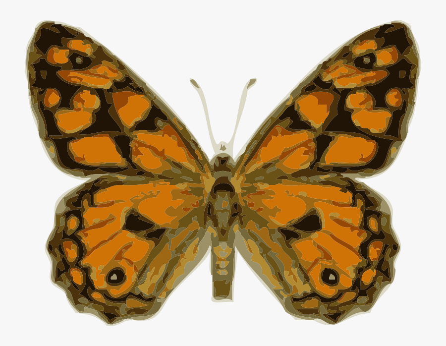 Butterfly - Royalty Free Images Butterfly, Transparent Clipart