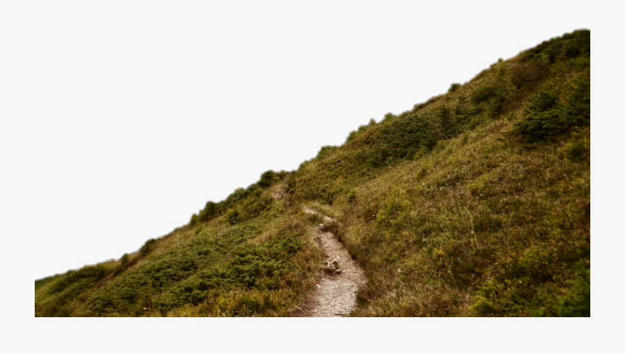 Hill, Transparent Clipart