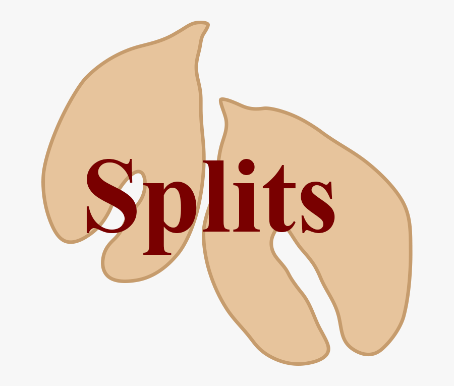 Split Peanut Cartoon Drawn Clipart Peanut Types - Lykke Li Until We Bleed, Transparent Clipart