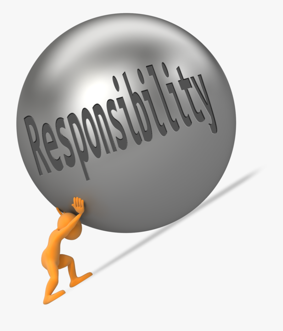 Departmentation And Accountability Source - Graphic Design, Transparent Clipart