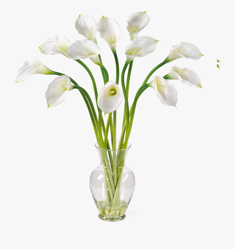 Calla Png Image - Calla Lily, Transparent Clipart