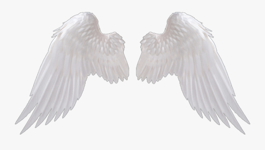 Angel Wings Hd Png - Transparent Background Angel Wings Png, Transparent Clipart