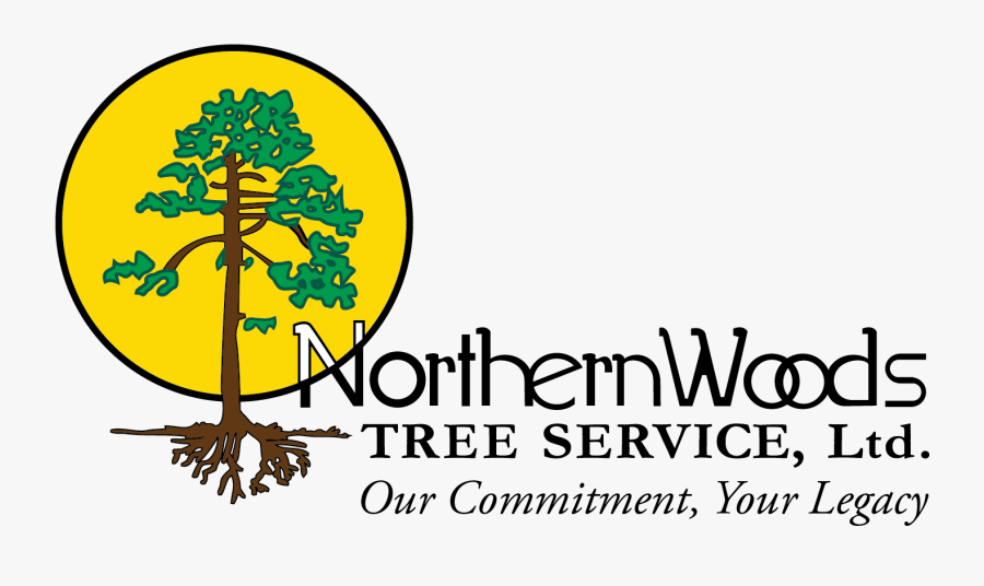 Northern Woods Tree Service - Tree, Transparent Clipart