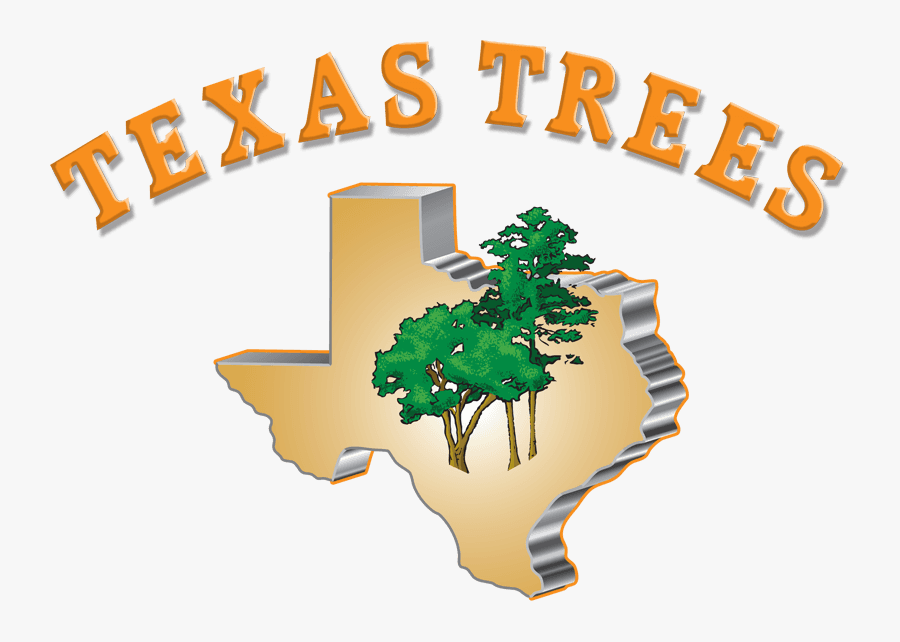 Texas Trees Tree Service - Illustration, Transparent Clipart