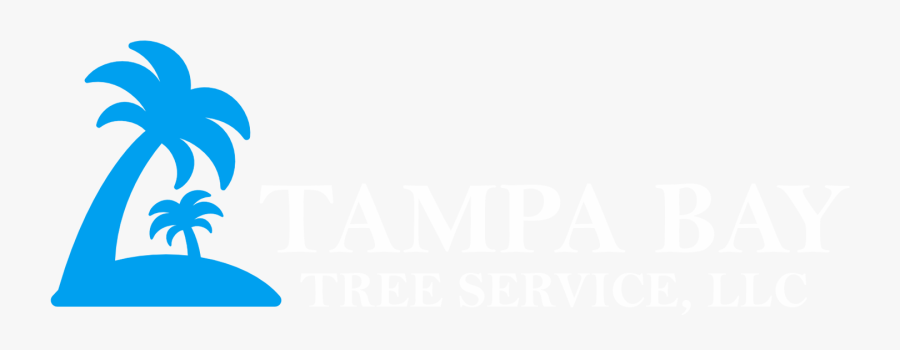 Tampa Bay Tree Service, Llc Clipart , Png Download - Snowboard, Transparent Clipart