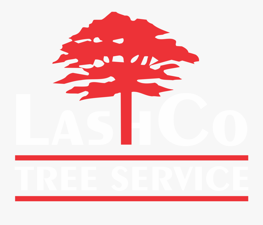 Lashco Tree Service Llc Clipart , Png Download, Transparent Clipart