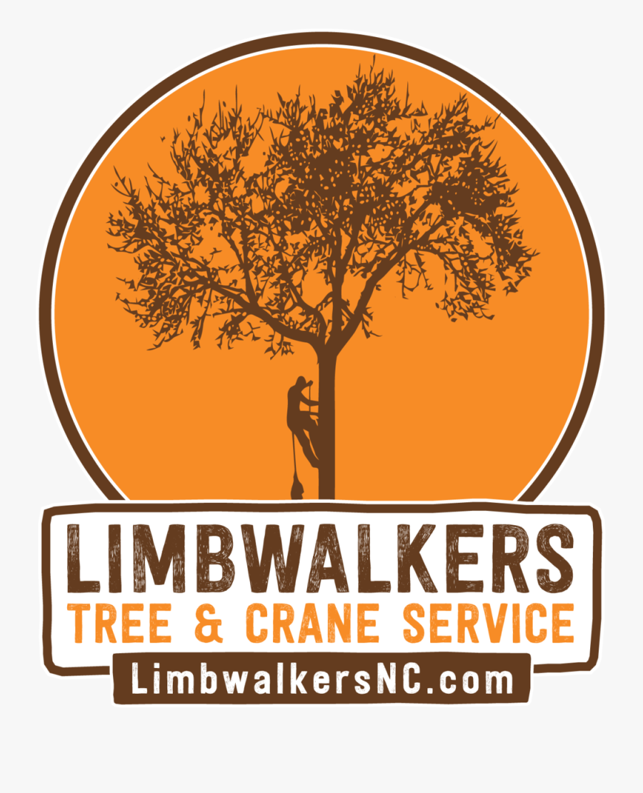 Growth Clipart Strong Tree - Tree, Transparent Clipart