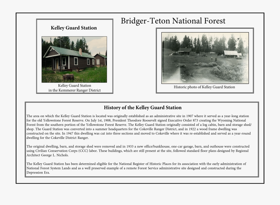 Forest Background Png - Tree, Transparent Clipart