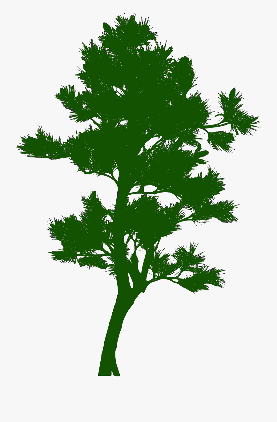 Silhouette Arbre 06 Clip Arts - Green Tree Silhouette Png, Transparent Clipart