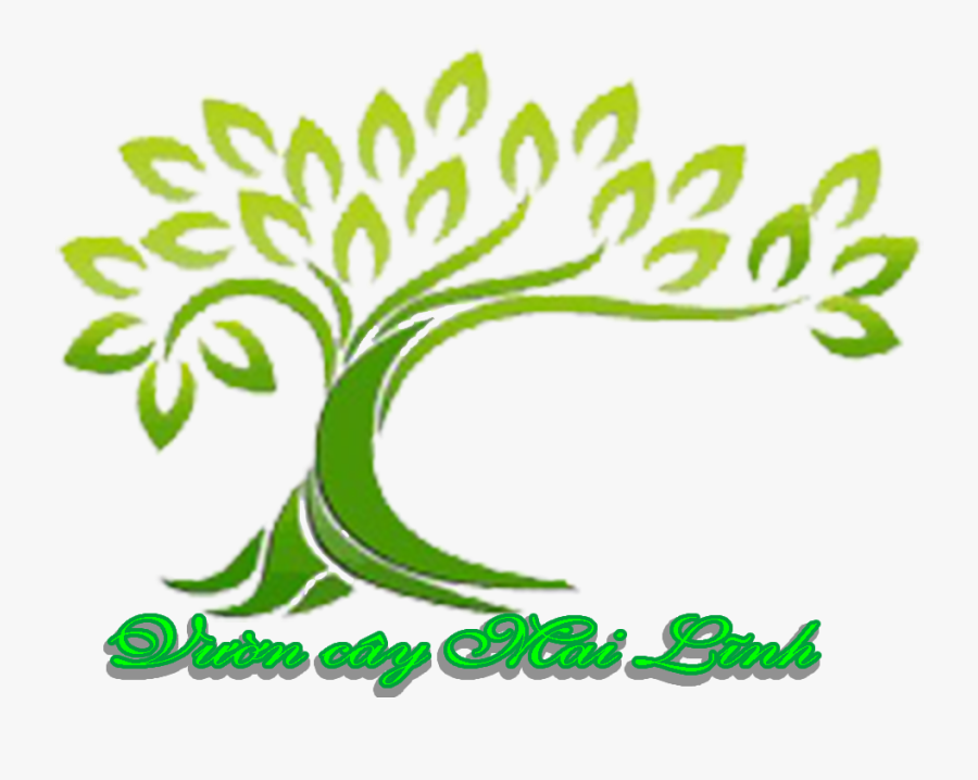 Cây Cảnh Đẹp Hà Nội Chuyên Cung Cấp Dịch Vụ Cây Trồng - Tree For Logo In Png, Transparent Clipart