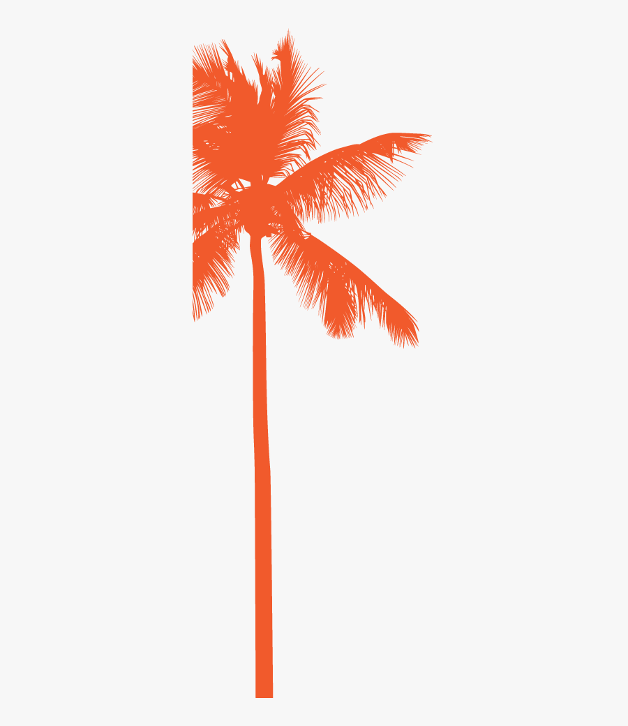 Clipart Sunglasses Palm Tree - Roystonea, Transparent Clipart