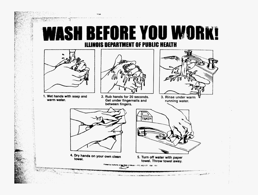 Wash Before You Work - Proper Hand Washing Illinois Department Of Public Health, Transparent Clipart