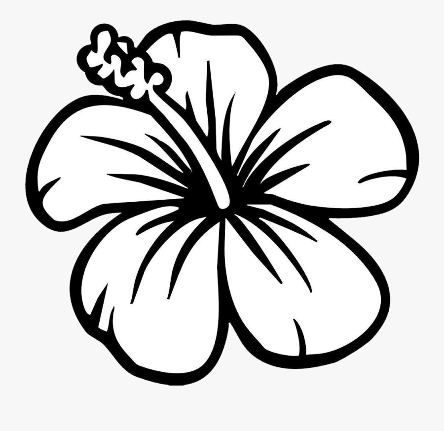 Hibiscus Flower Coloring Page , Free Transparent Clipart ClipartKey